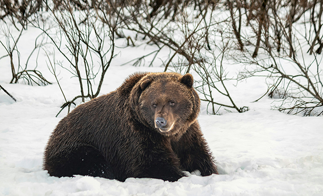 ������� �� ������� � ������: ����� � ��� ����� ������� � ����������� ����� ����������������