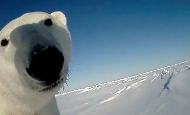 ����: ������������� ������ ���