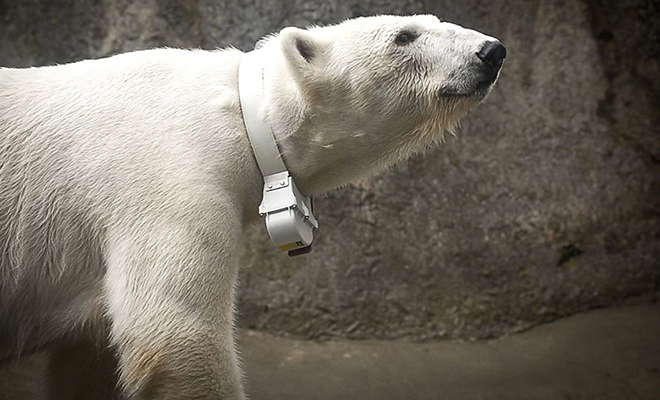 ����: ������������� ������ ���