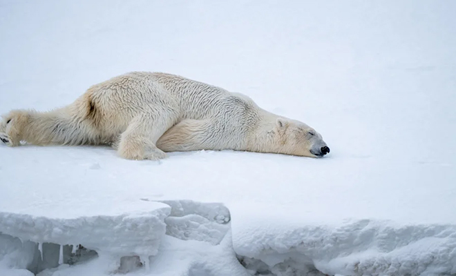 ����: ������������� ������ ���