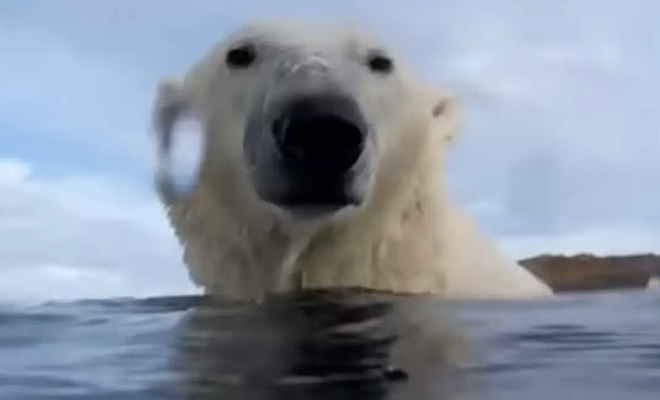 ������ ���������� ������ � ������ ������� � �������, ��� ������ ������� �������� ���� ����