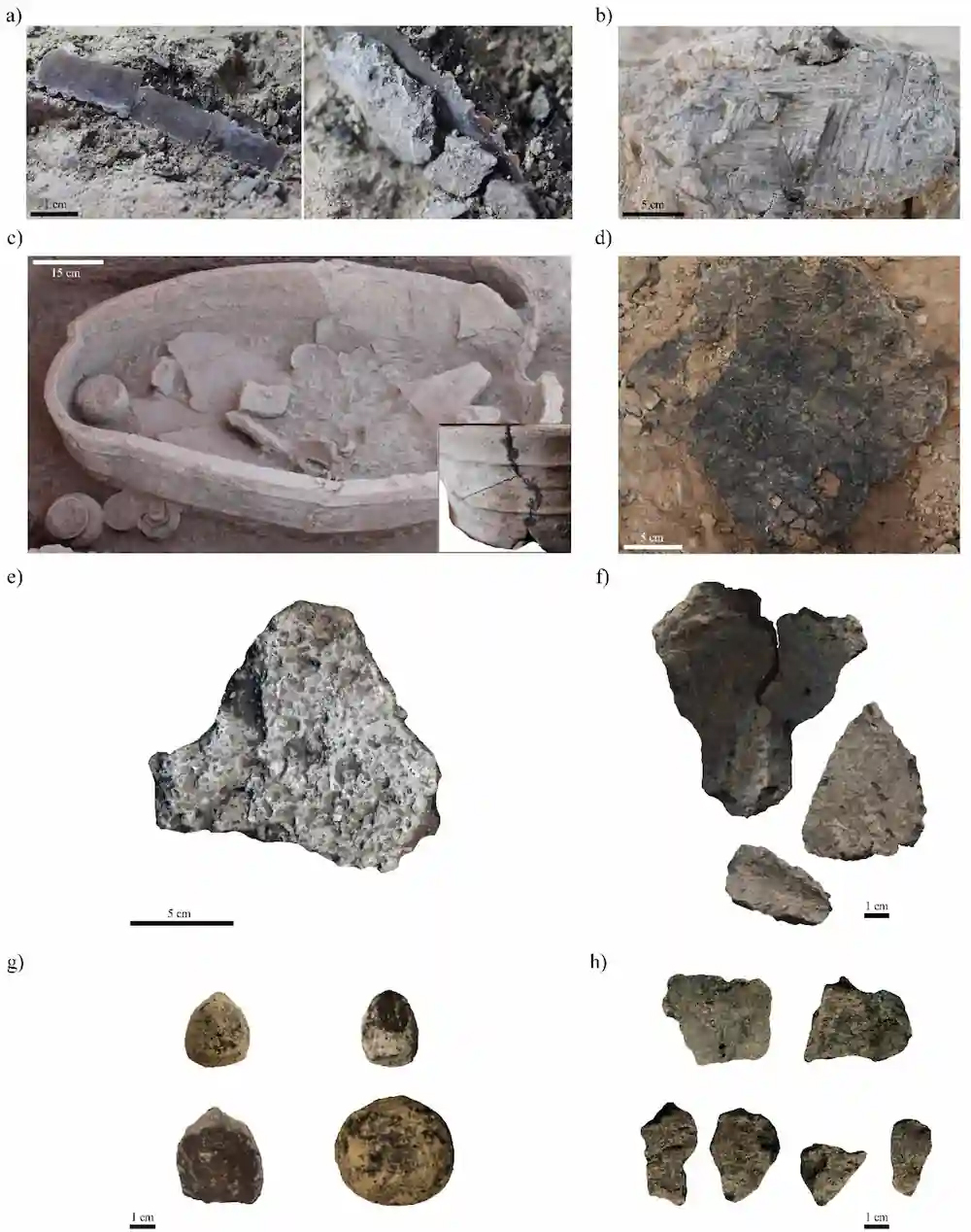 Фото: V. Caruso et al., 2026; archaeological context after Romano and D’Agostino, 2019