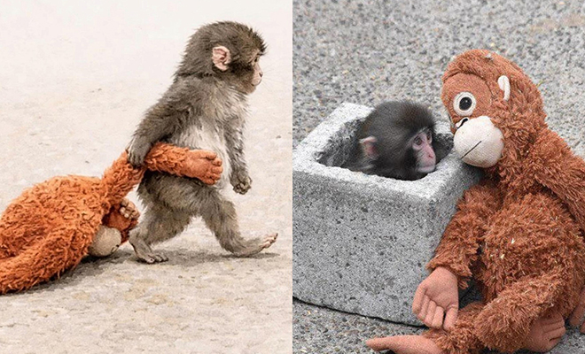 Фото: @sushmitha4akhil/X