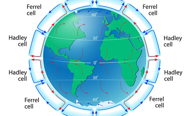 Фото: Shutterstock