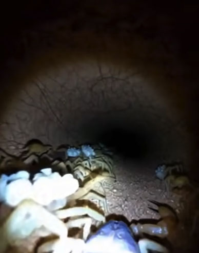 ����: 9gag/��������