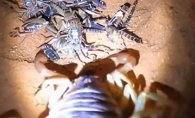 ����: 9gag/��������