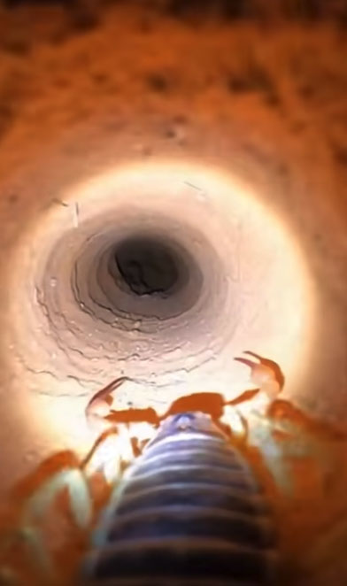 ����: 9gag/��������