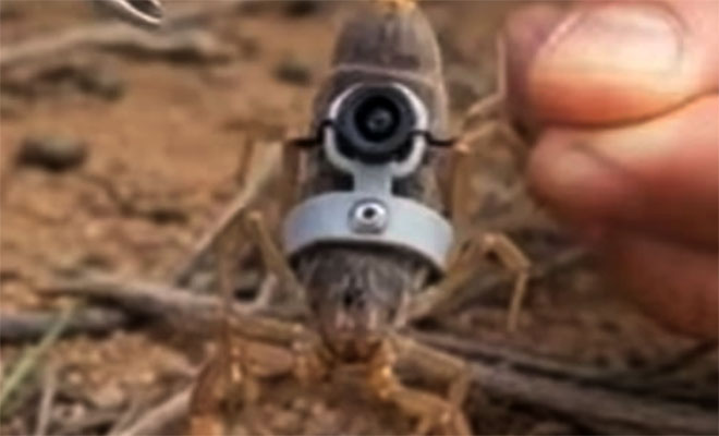 ����: 9gag/��������