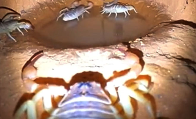 ����: 9gag/��������