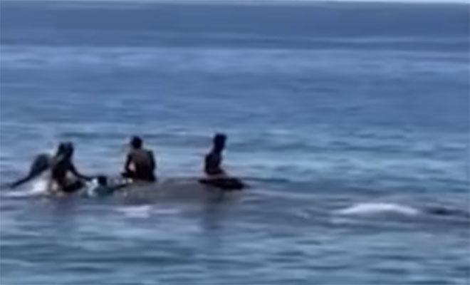 ����: 9gag/��������