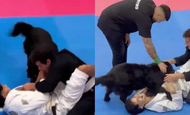 ������� � ������� ������ �� ������ � ����� �� ������. ����� 5 ����� ��� ������� ������� �������