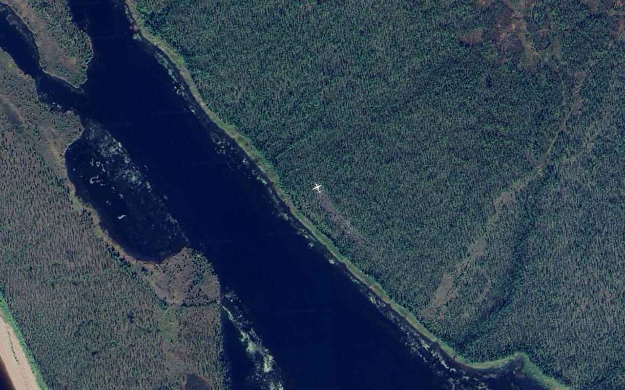 Фото: Reddit/@Aware_Path_9602