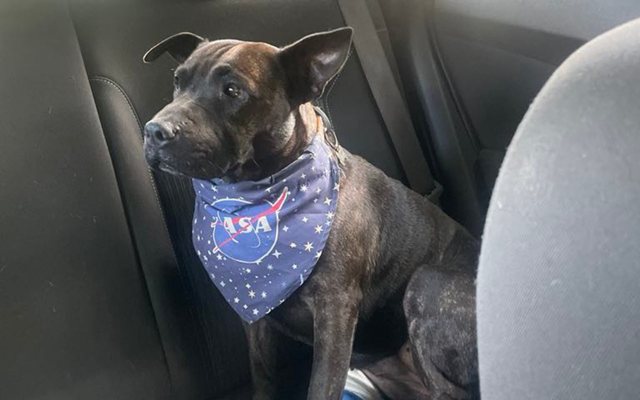 Фото: соцсети/@paul_conyngham