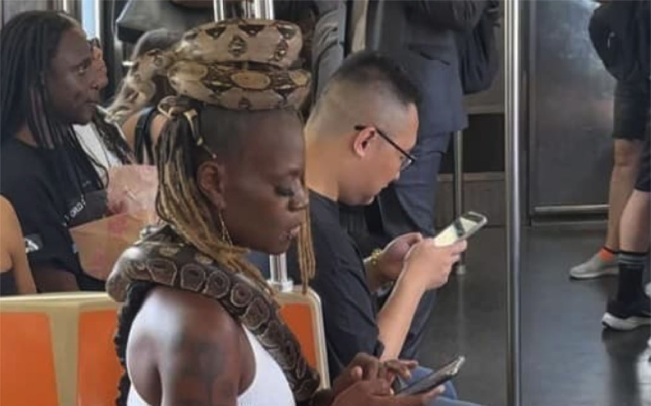 Фото: 9gag/@808m