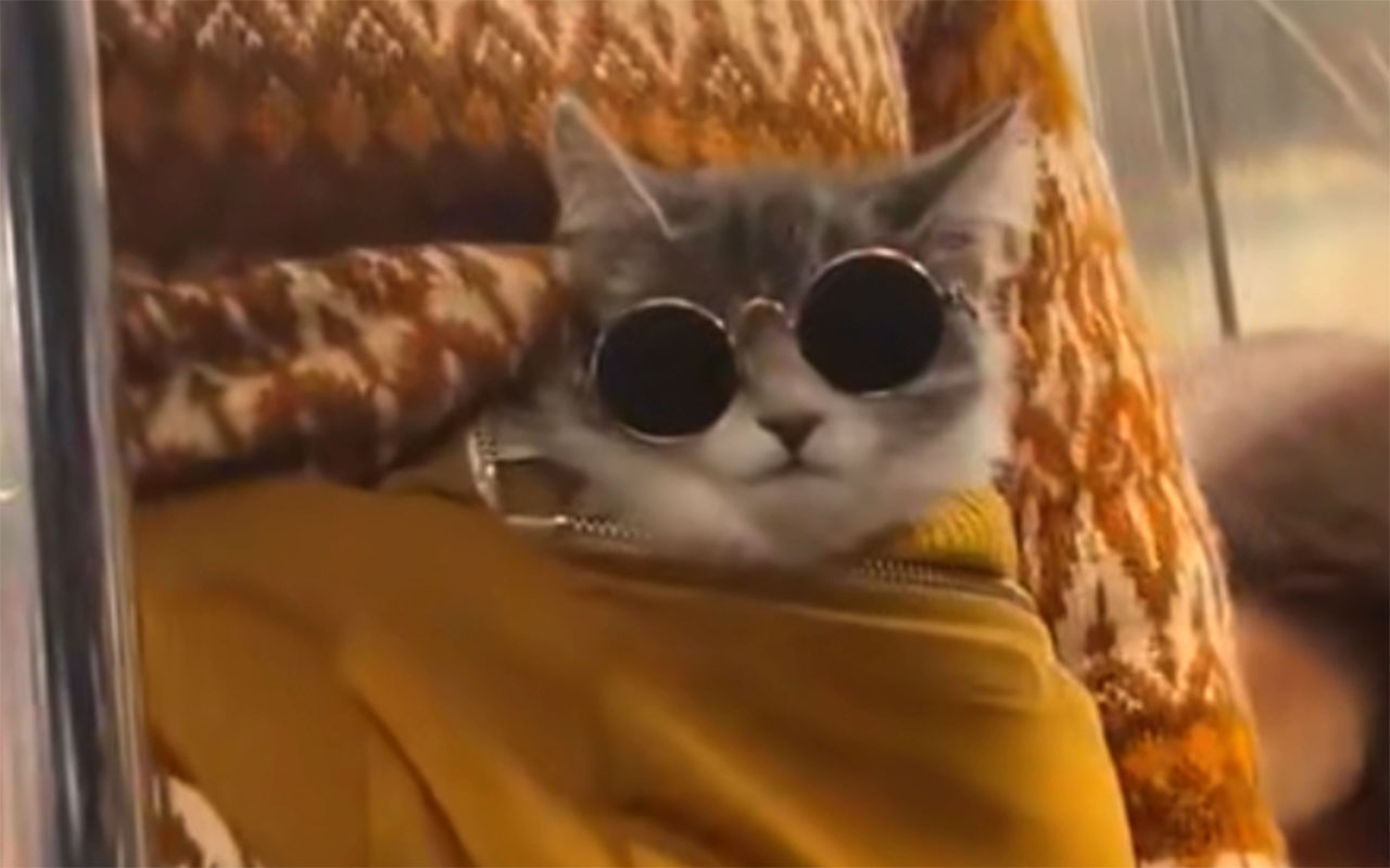 Фото: 9gag/@808m