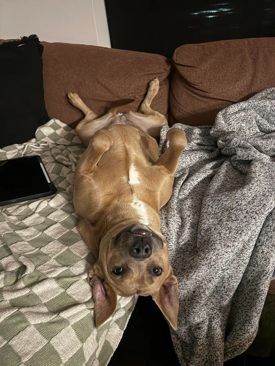 Фото: reddit/r/@xamlax