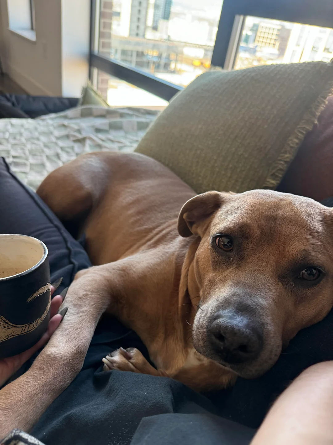 Фото: reddit/r/@xamlax