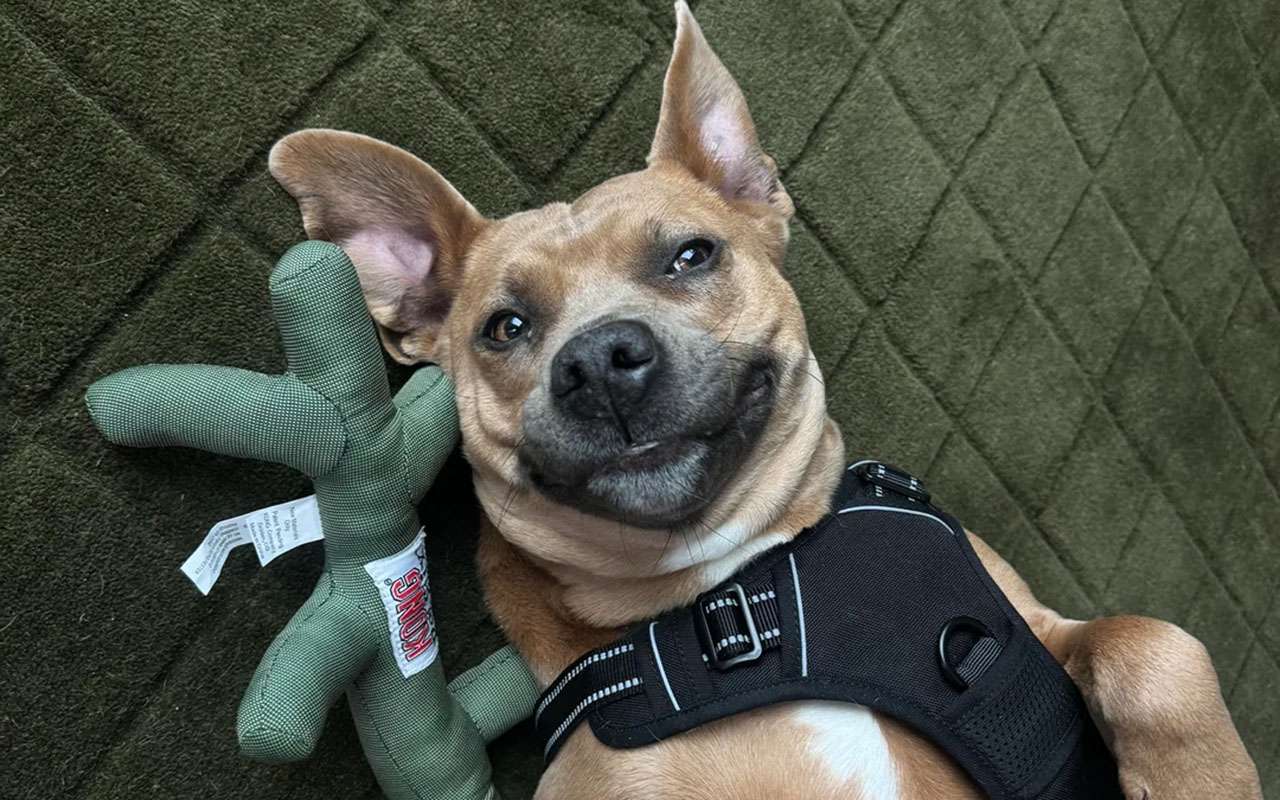 Фото: reddit/r/@xamlax