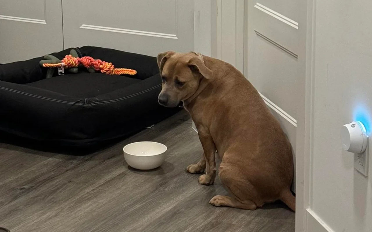 Фото: reddit/r/@xamlax