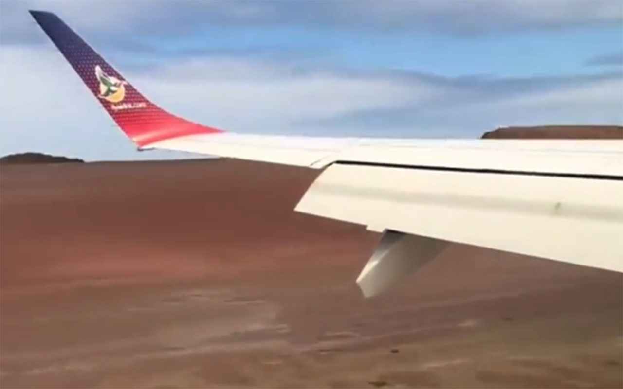 Фото: Reddit/@probablyisntavirus