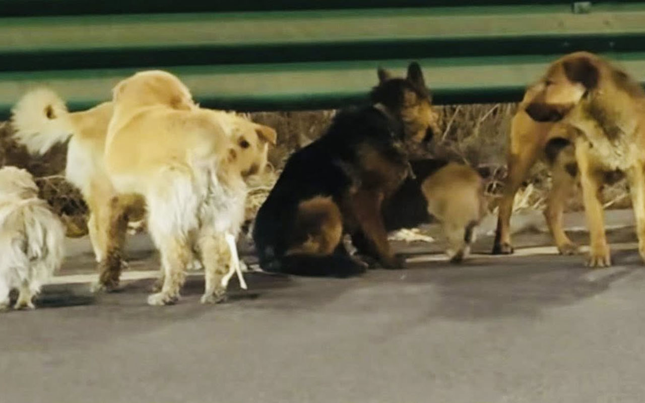 Фото: mp.weixin.qq.com