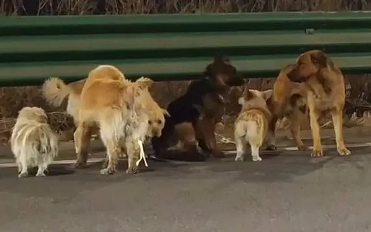 Фото: mp.weixin.qq.com