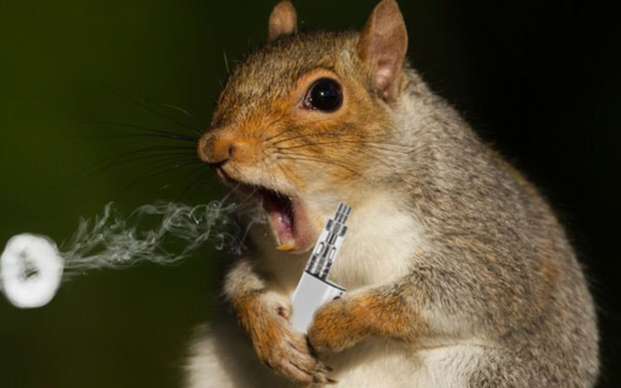 Фото: социальные сети @drewtoothpaste