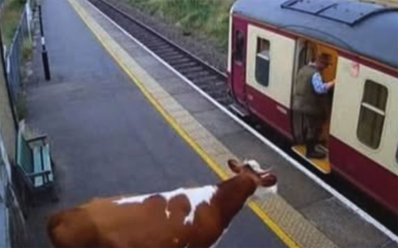 Фото: социальные сети @StoryTime