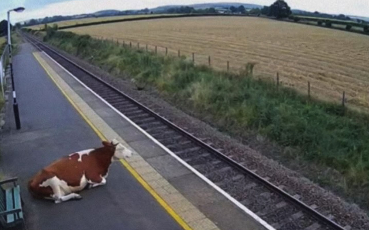 Фото: социальные сети @StoryTime