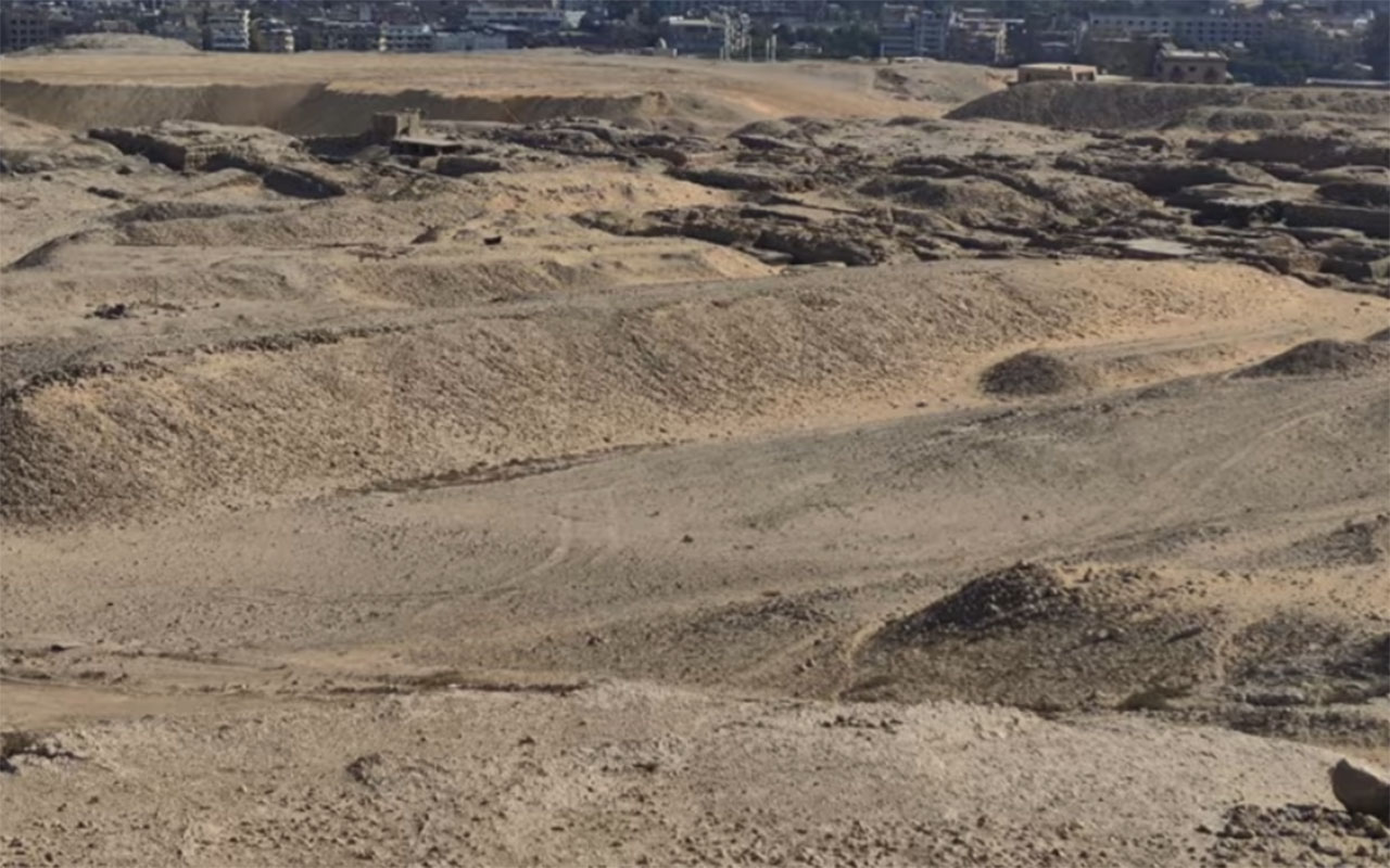 Фото: кадр из видео @MattBeallPodcast