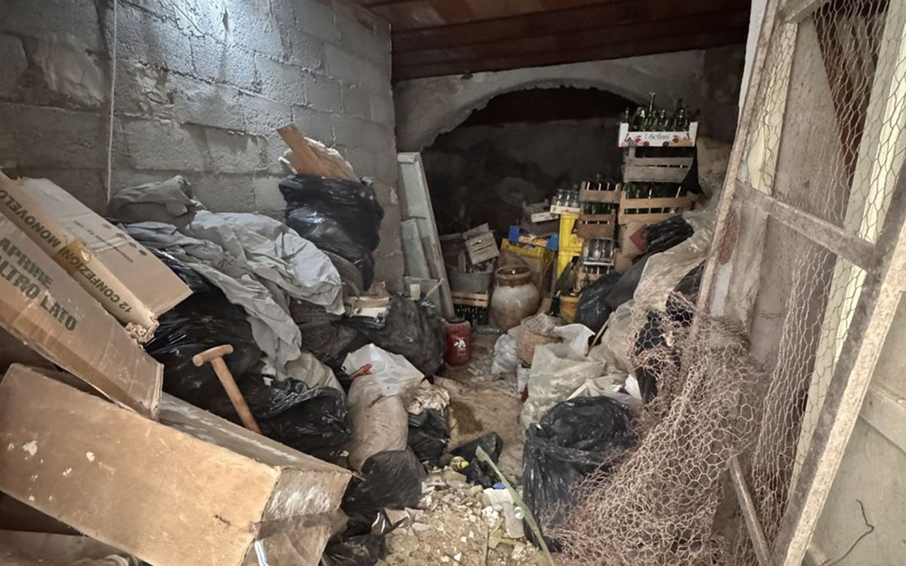 Фото: социальные сети @George_Laing_