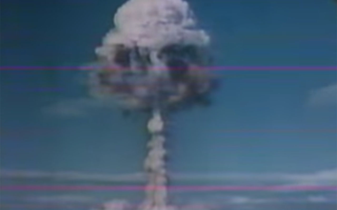 Фото: кадр из видео @broubies