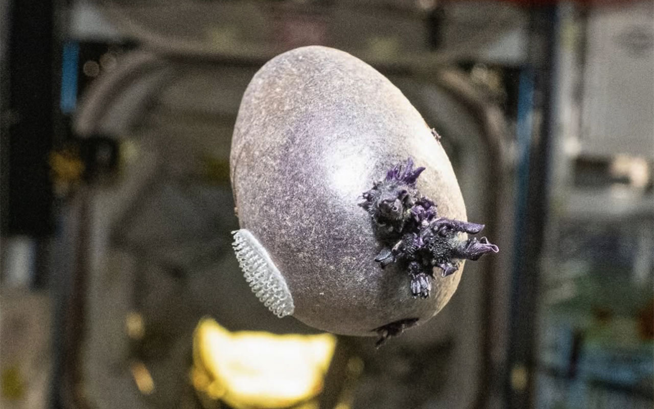 Фото: @astro_pettit