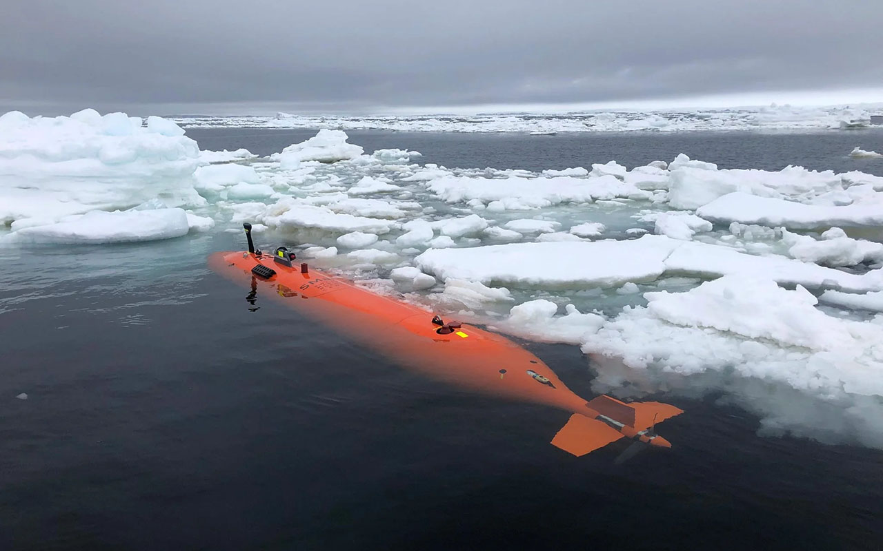 Фото: Anna W&aring;hlin/University of Gothenburg