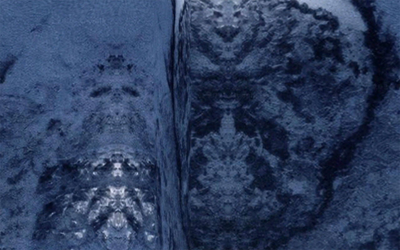 Фото: социальные сети @caalf01