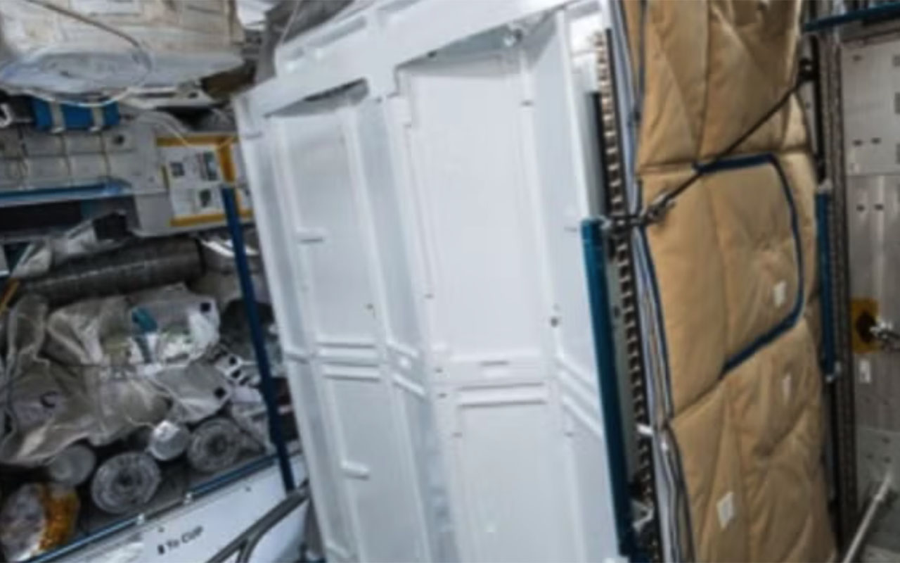 Фото: кадр из видео @CBS News