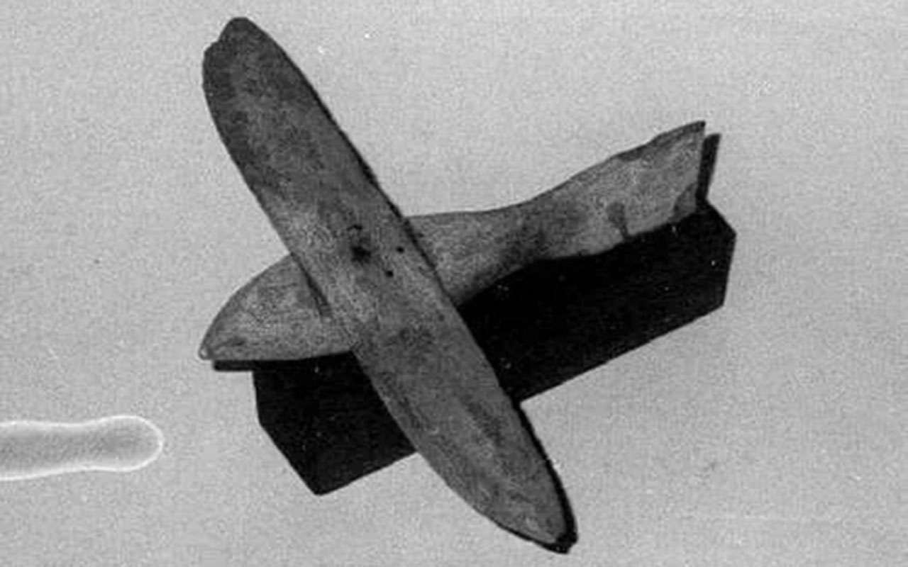 Фото: @MythsUnveiled/Reddit