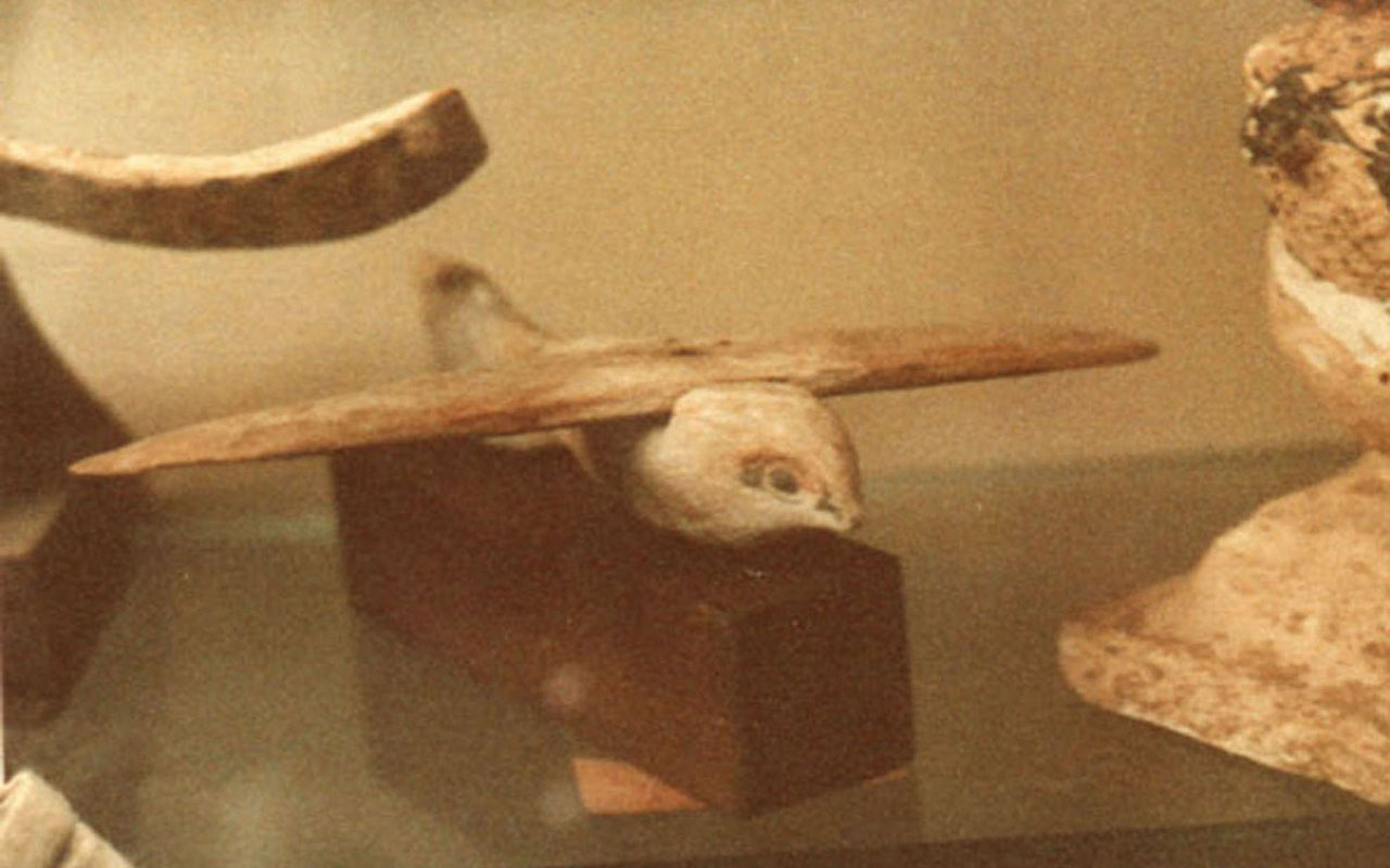 Фото: Dawoud Khalil Messiha. Общественное достояние