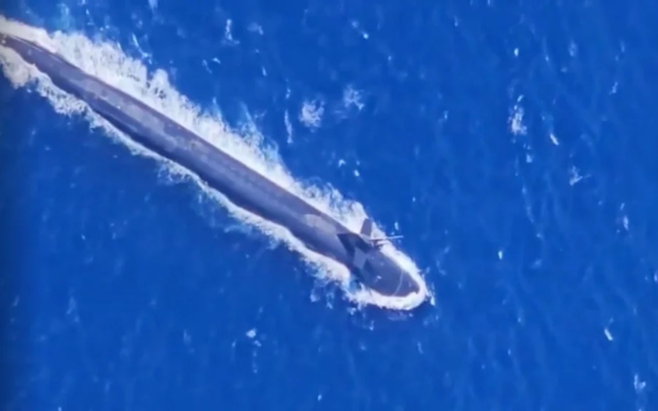 Фото: кадр из видео @Zee_Ventures/Reddit