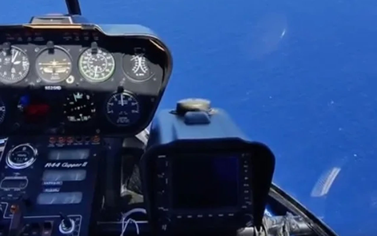 Фото: кадр из видео @Zee_Ventures/Reddit