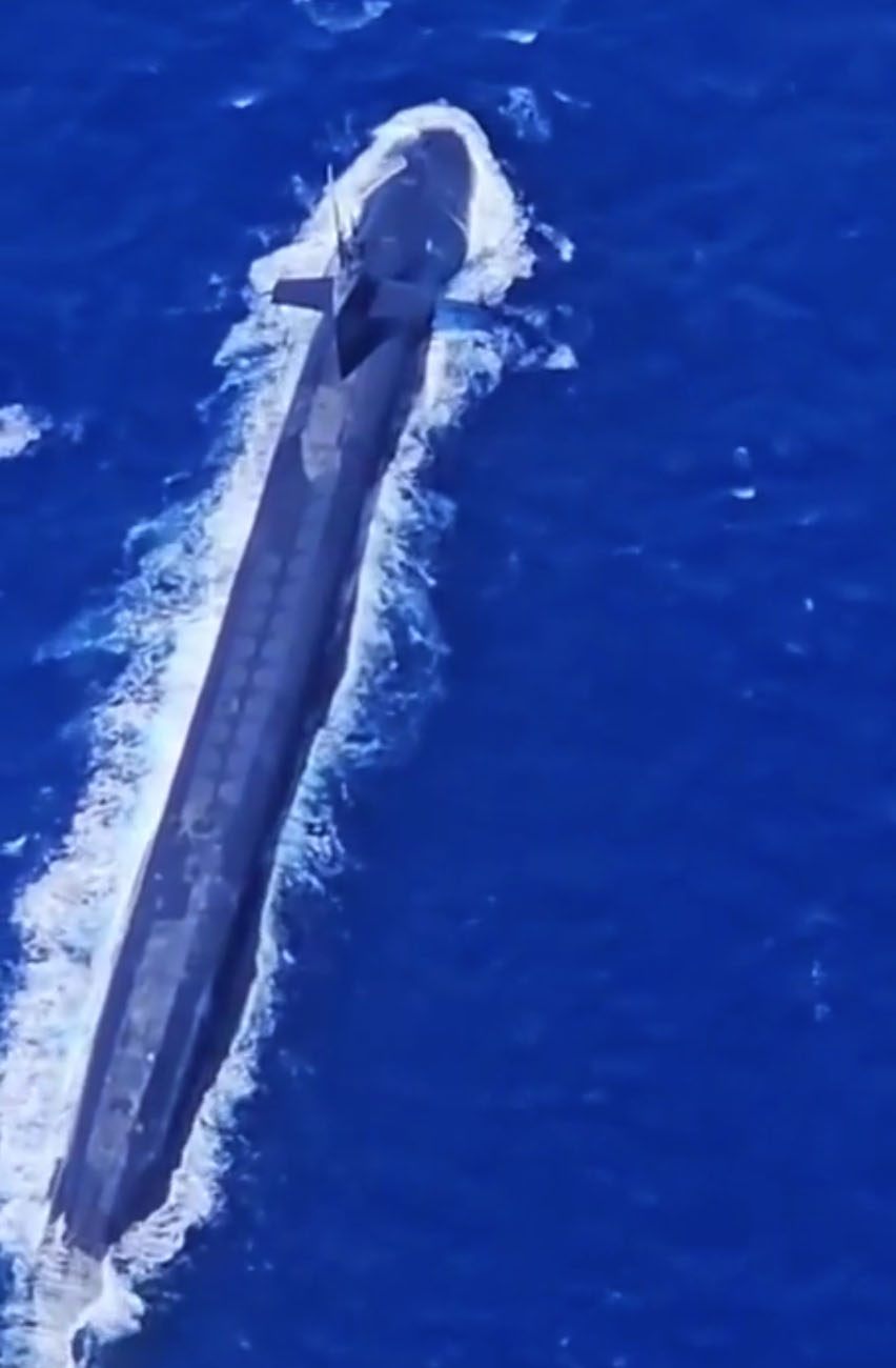 Фото: кадр из видео @Zee_Ventures/Reddit