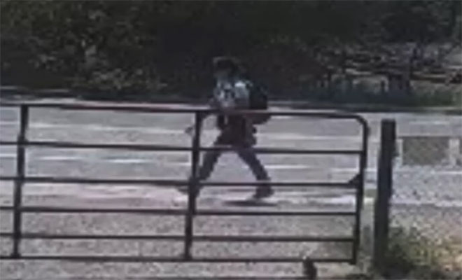 Фото: кадр из видео @nypost