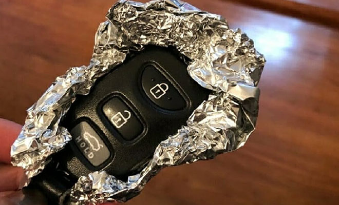 Фото: кадр из видео @FactsVerse