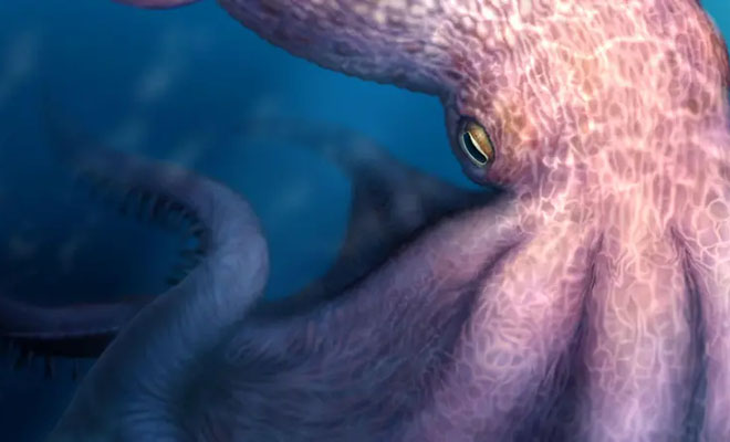 Фото: Yohei Utsuki, Department of Earth and Planetary Sciences, Hokkaido University, общественное достояние