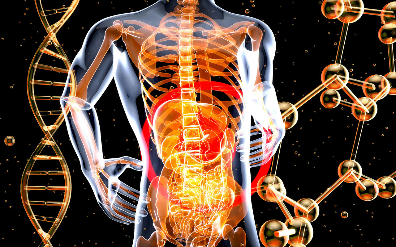 Лекарство вместо протеза. Ученые нашли способ регенерации стареющих суставов