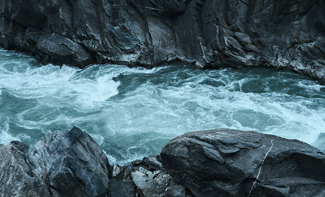 Фото: Unsplash
