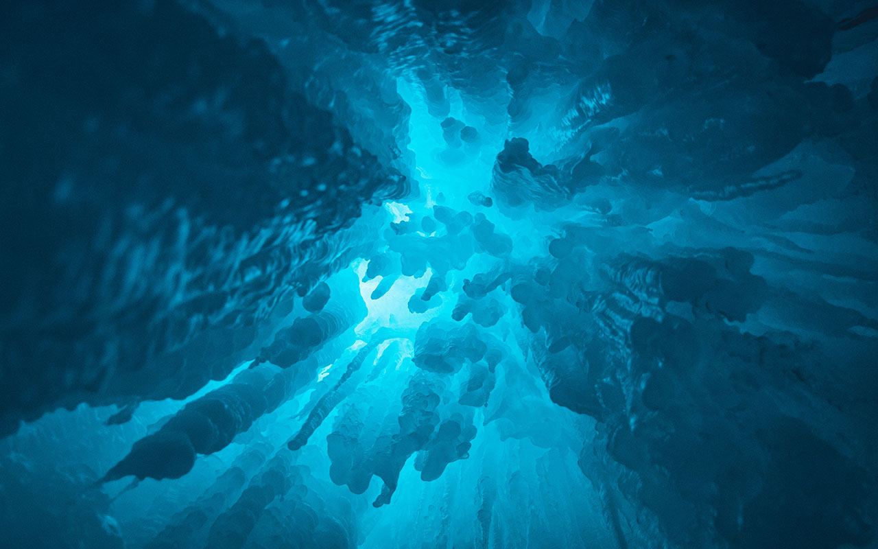Фото: Unsplash