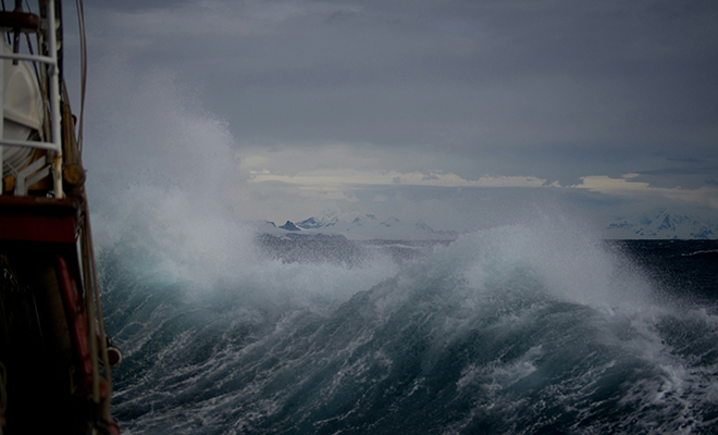 Фото: Unsplash