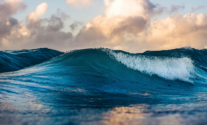 Фото: Unsplash