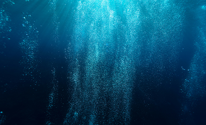 Фото: Unsplash